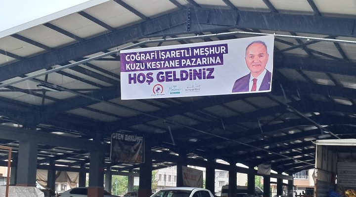 DÜZCE GÜNDEMİ KUZU KESTANESİ İÇİN PAZAR KURULUYOR!