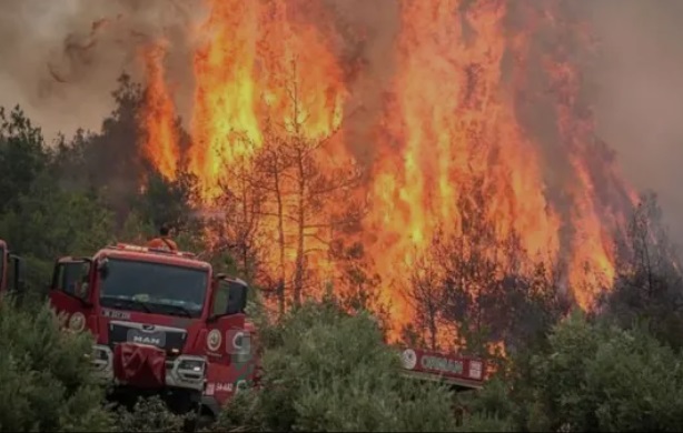 ESKİŞEHİR’DE 10 KİŞİ ORMAN YANGININDA ŞEHİT OLDU!