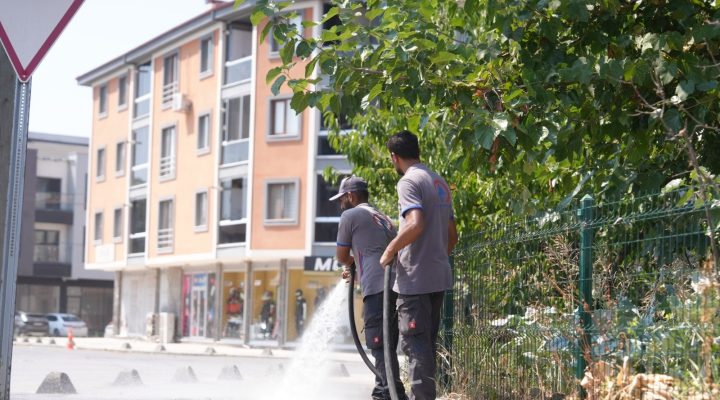 TEMİZ ŞEHİR DÜZCE KAMPANYASI 15. MAHALLEDE!